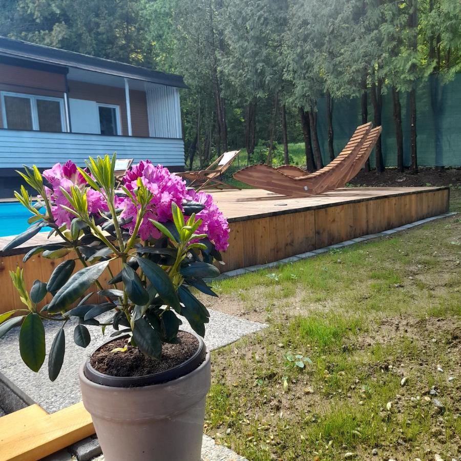 Bungalows Sonnenblume Am Klopeiner See Sankt Kanzian am Klopeiner See المظهر الخارجي الصورة